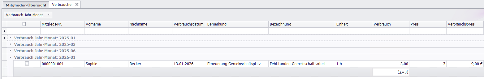 Fehlstunden der Gemeinschaftsarbeit abrechnen in SPG-Verein 4